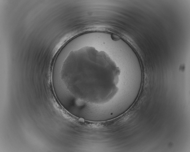 X0000115450994200911181543