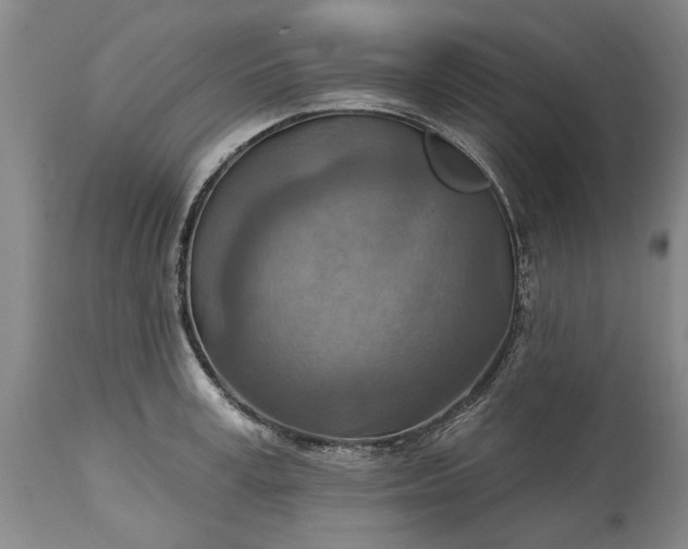 X0000115450995200911181543