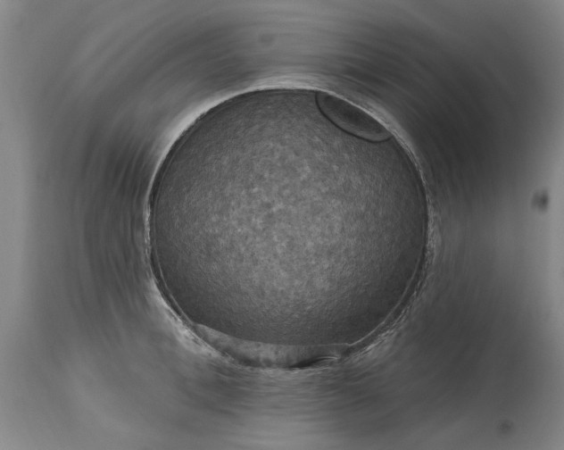 X0000115450996200911181543