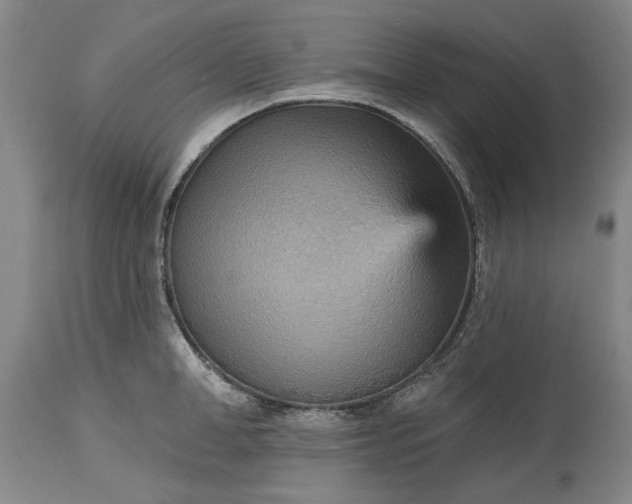 X0000115450998200911181543