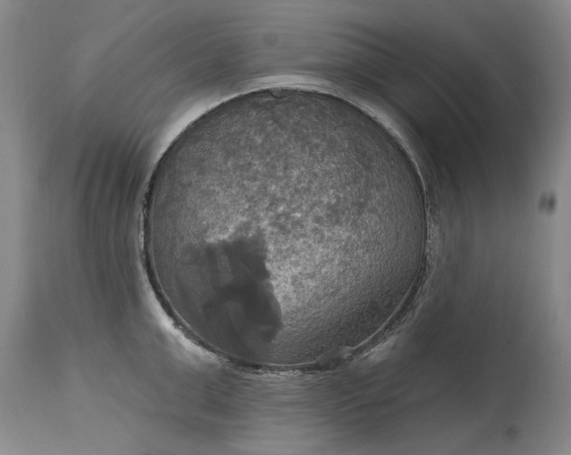 X0000115450999200911181543