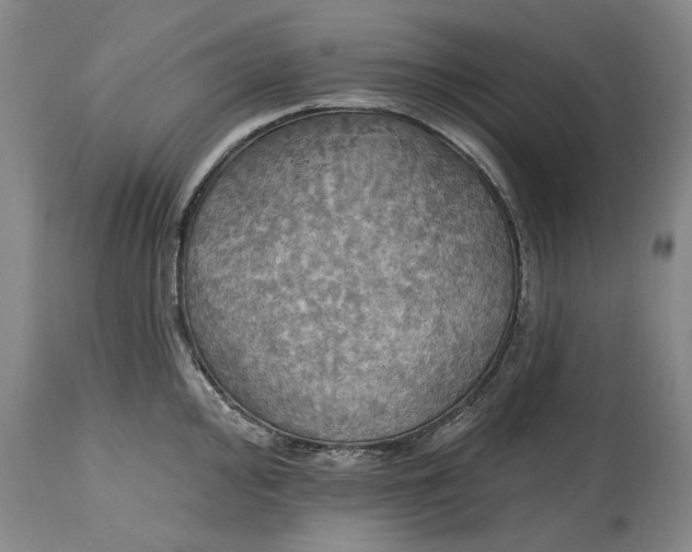 X0000115451000200911181543