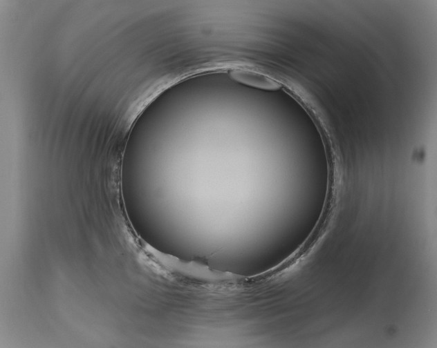 X0000115451001200911181543