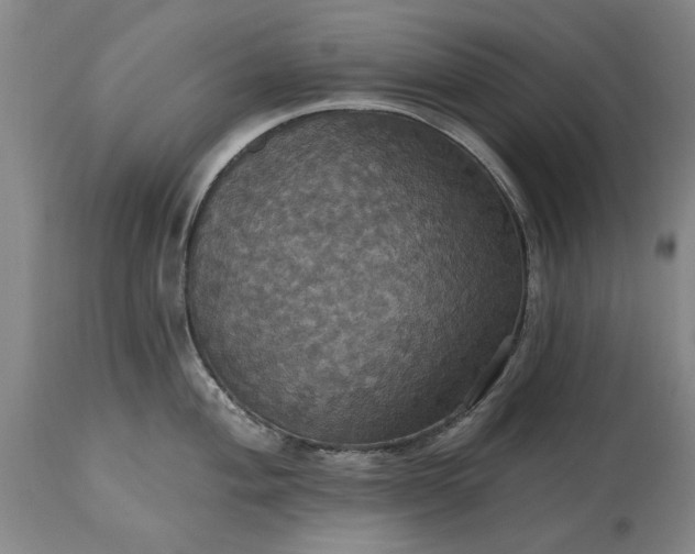 X0000115451004200911181543