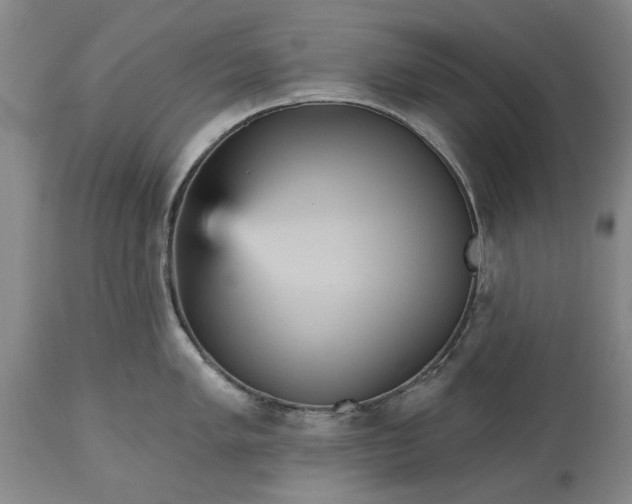 X0000115451005200911181543