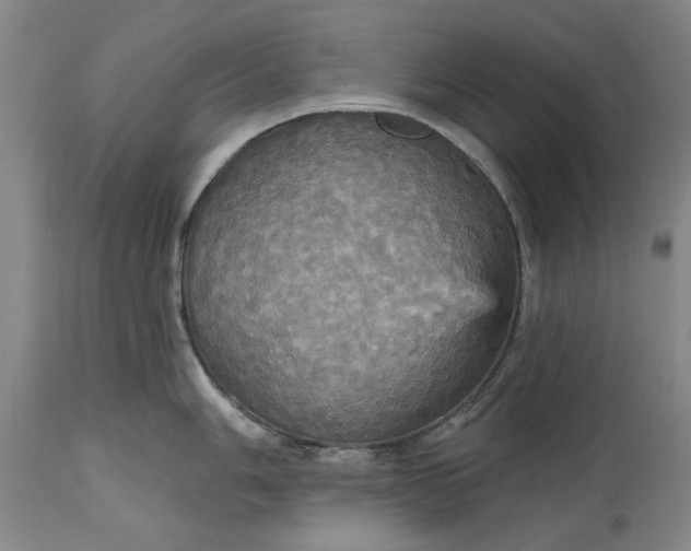 X0000115451006200911181543