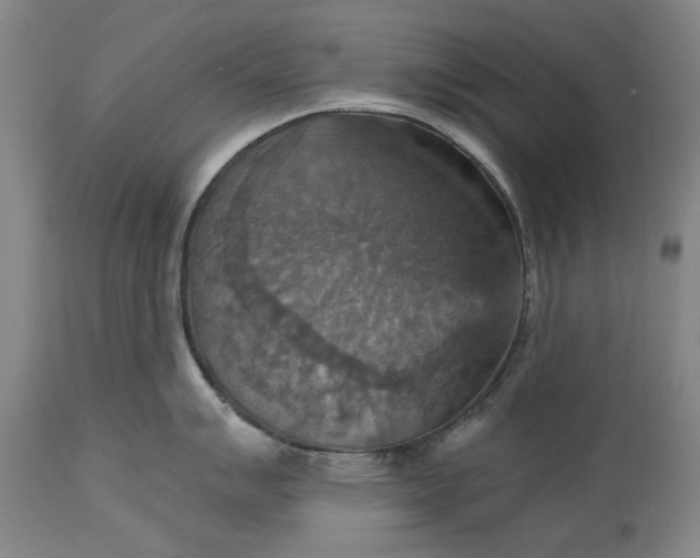 X0000115451007200911181543