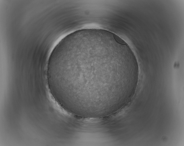 X0000115451008200911181542