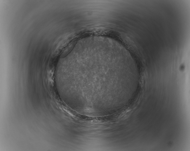 X0000115451010200911181542