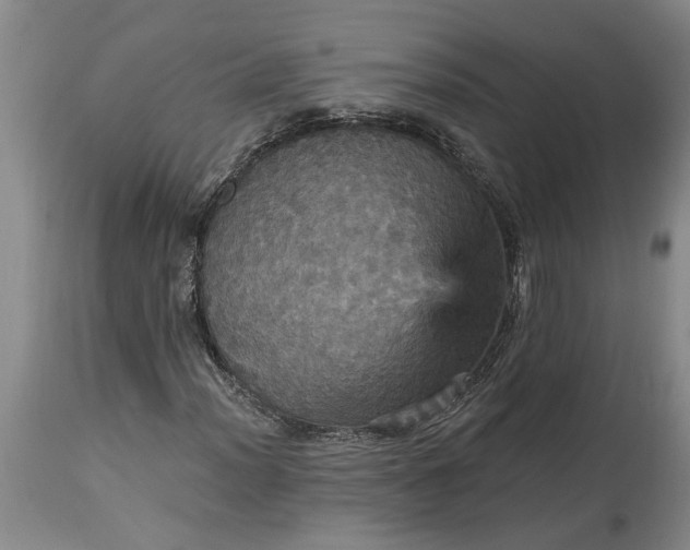 X0000115451012200911181542