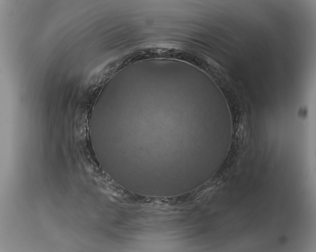 X0000115451014200911181542