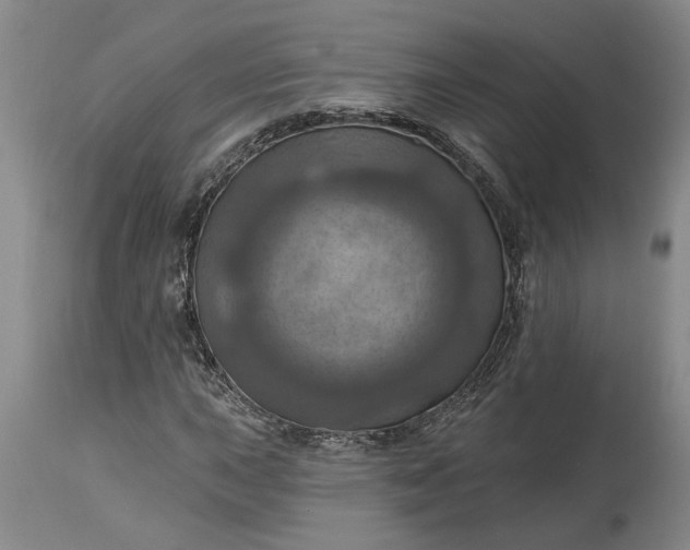 X0000115451015200911181542