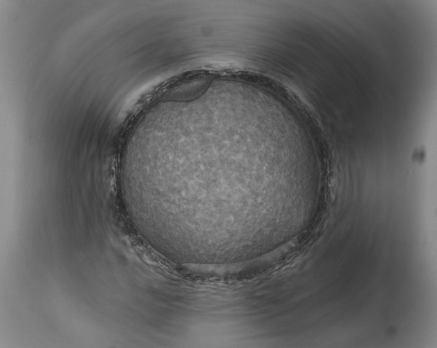 X0000115451016200911181542