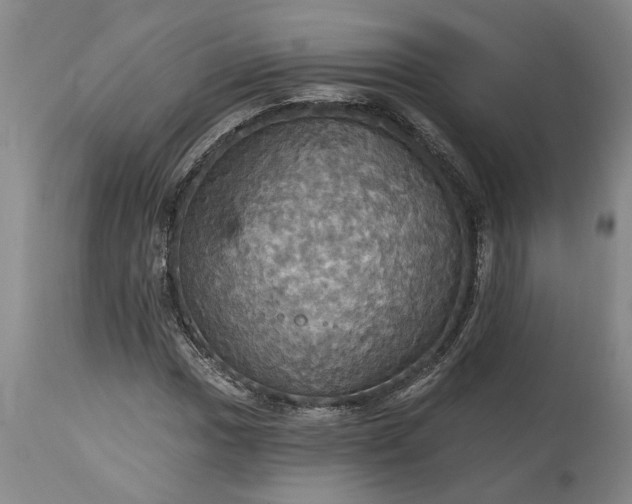 X0000115451017200911181542