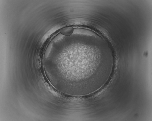 X0000115451018200911181542