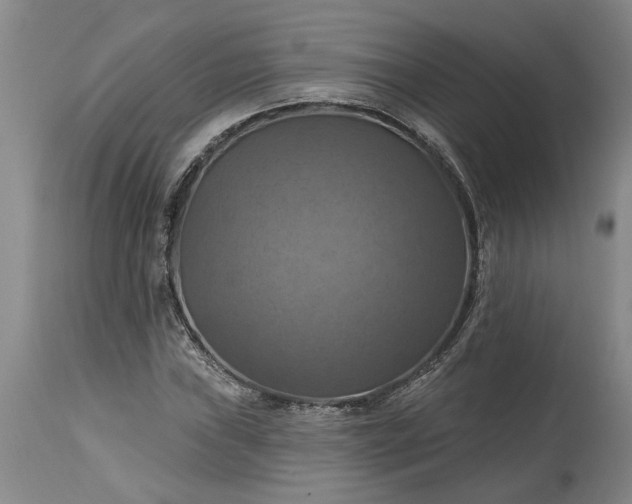 X0000115451019200911181542