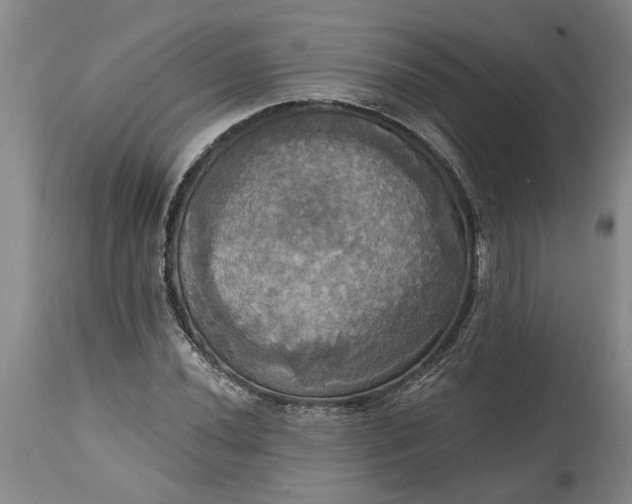 X0000115451020200911181542