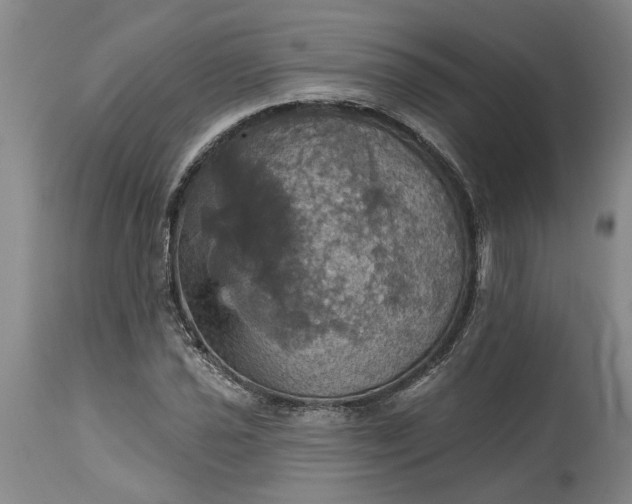 X0000115451021200911181542