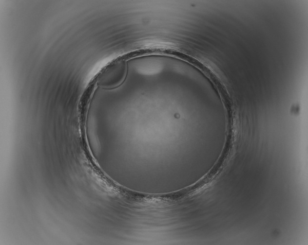 X0000115451022200911181542