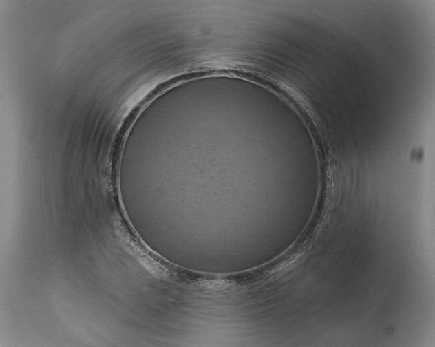 X0000115451023200911181542