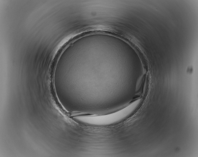 X0000115451024200911181542