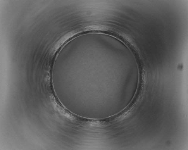 X0000115451025200911181542