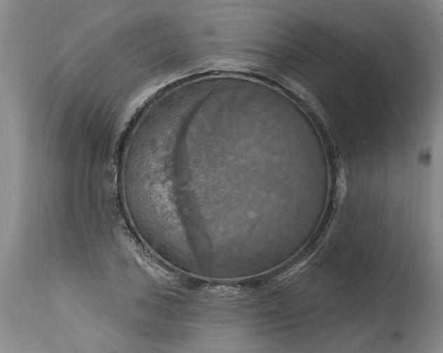 X0000115451027200911181542