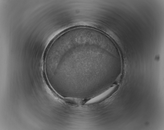 X0000115451028200911181542