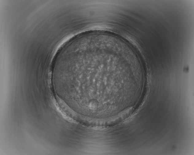 X0000115451029200911181542