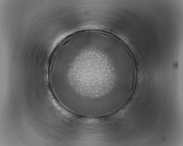 X0000115451030200911181542