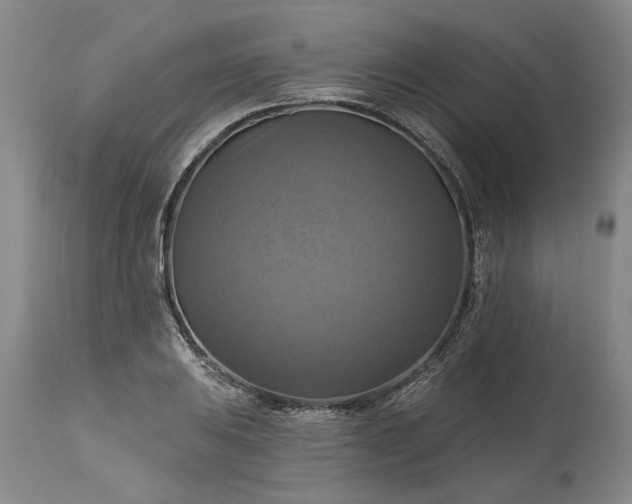 X0000115451031200911181542