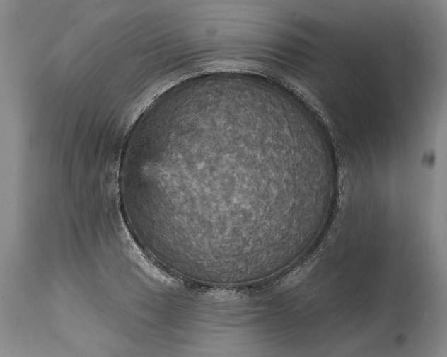 X0000115451033200911181542