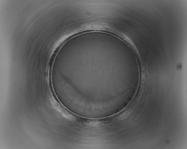 X0000115451035200911181542