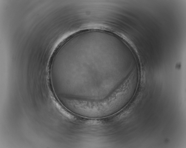 X0000115451037200911181542