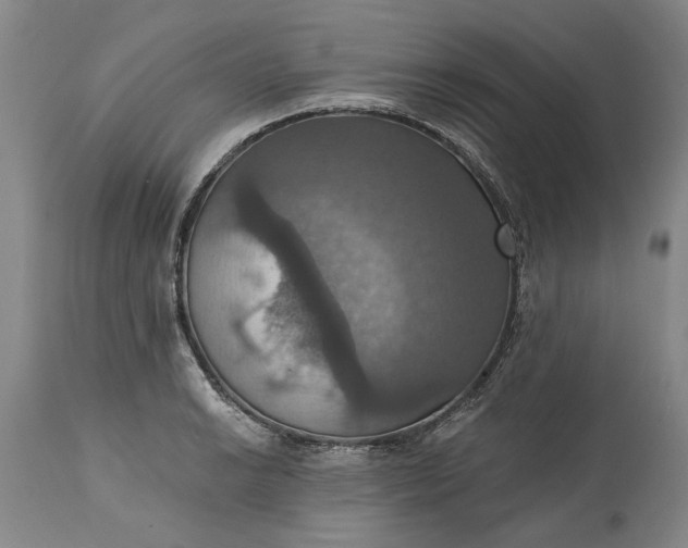 X0000115451038200911181542