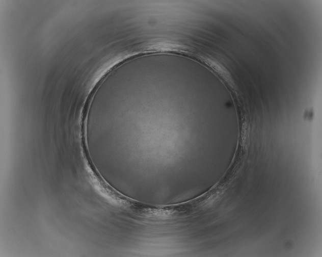 X0000115451039200911181542