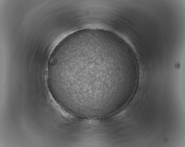 X0000115451040200911181542