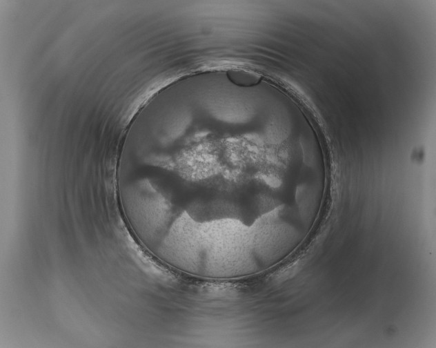 X0000115451041200911181542