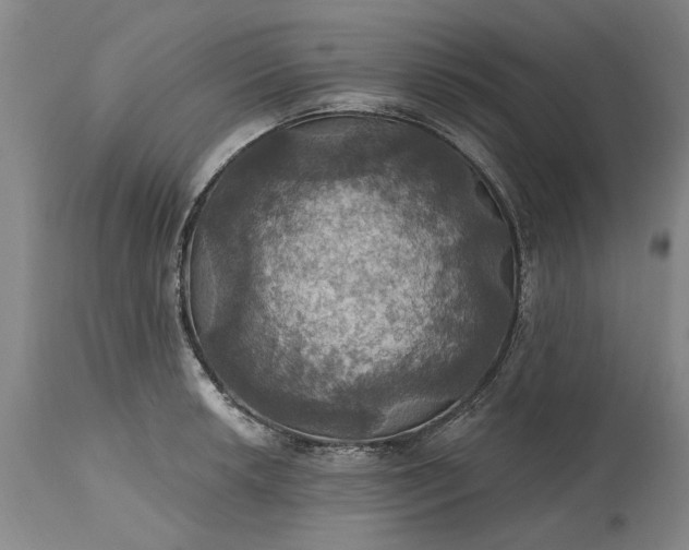 X0000115451042200911181542