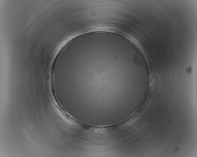 X0000115451043200911181542