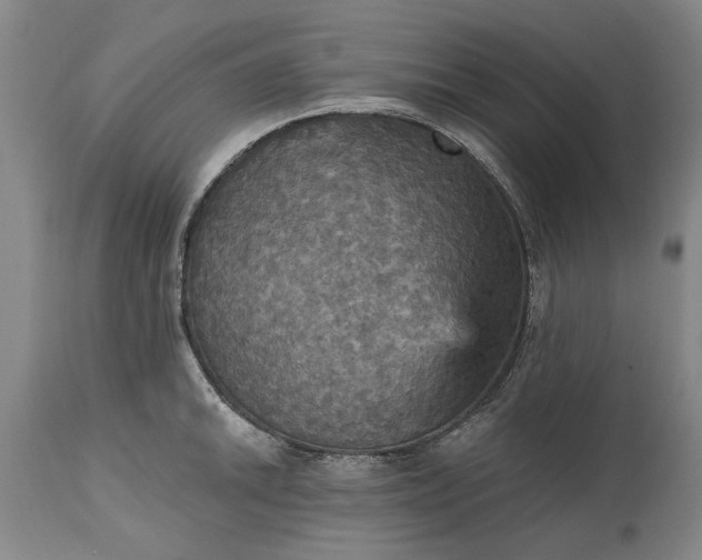 X0000115451046200911181542