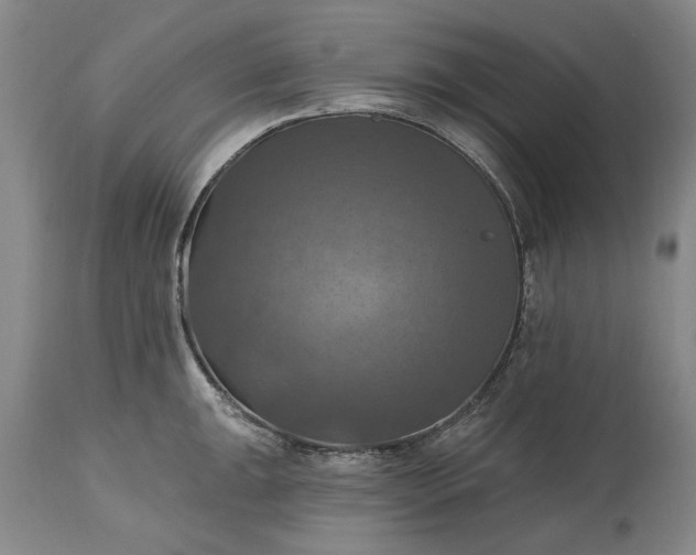 X0000115451047200911181542