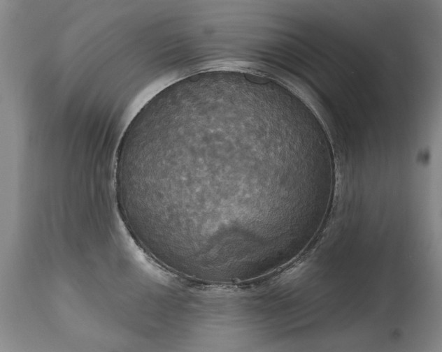 X0000115451050200911181542