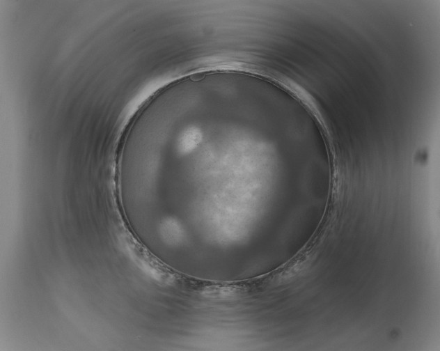 X0000115451051200911181542