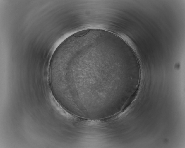 X0000115451052200911181542