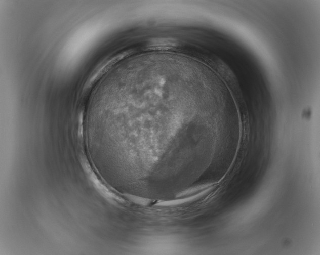 X0000115451054200911181542