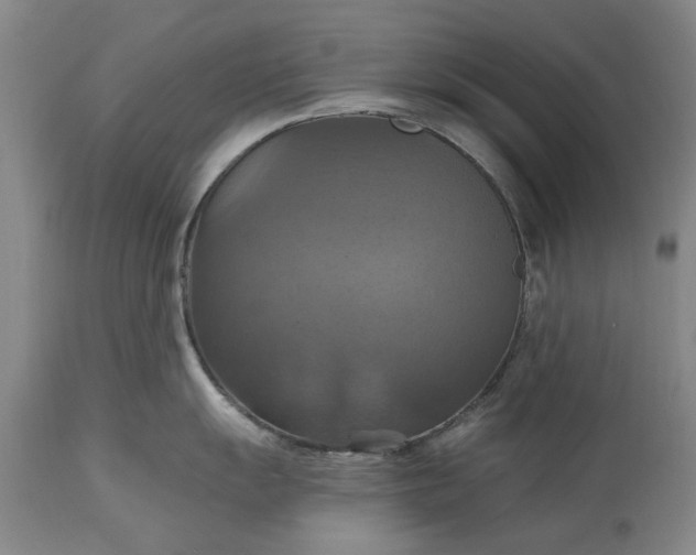 X0000115451055200911181542