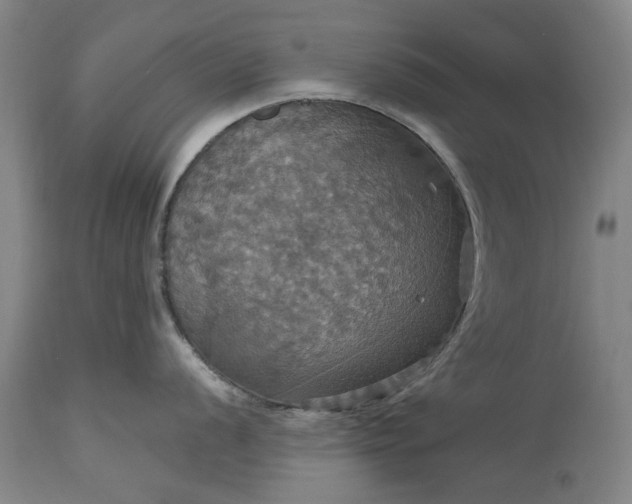 X0000115451056200911181542