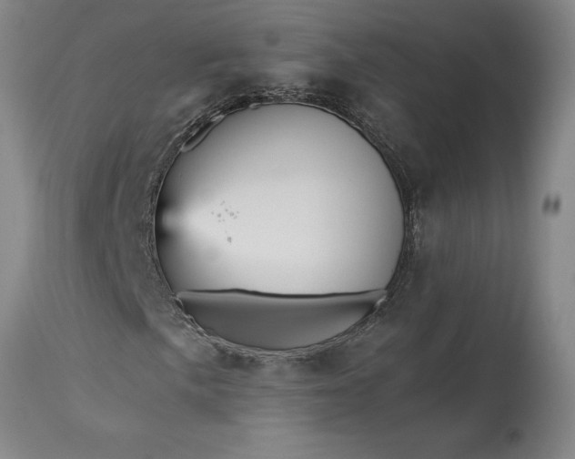 X0000115451057200911181542