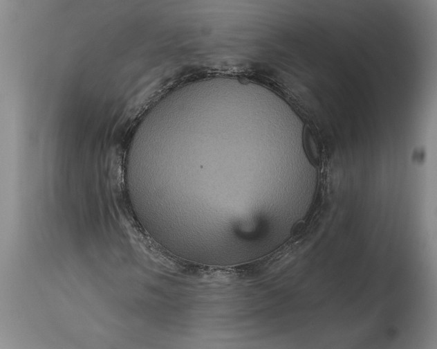 X0000115451058200911181542